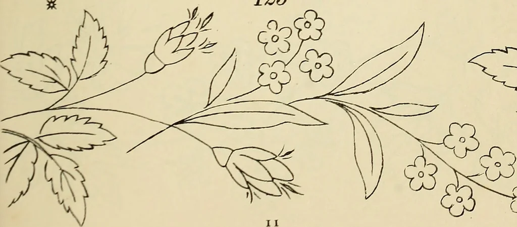 An illustration from Briggs & Co.'s patent transferring papers : patented for the United States of America, 1880, leaf 20