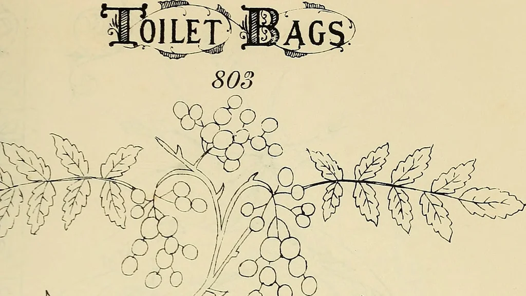 An illustration from Briggs & Co.'s patent transferring papers : patented for the United States of America, 1880, leaf 200