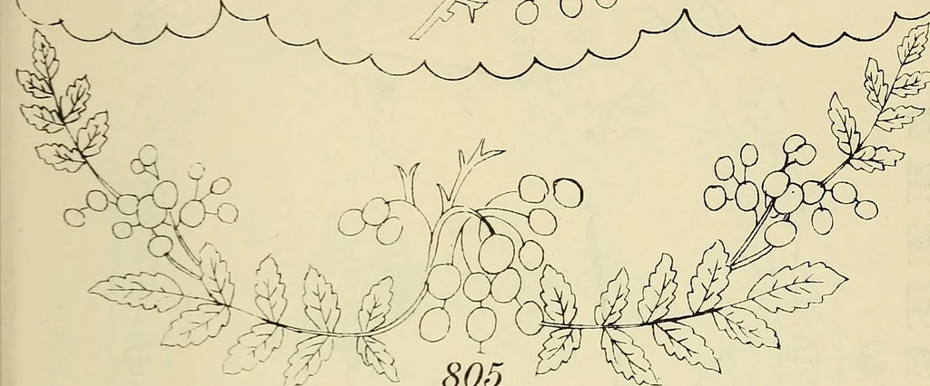 An illustration from Briggs & Co.'s patent transferring papers : patented for the United States of America, 1880, leaf 200