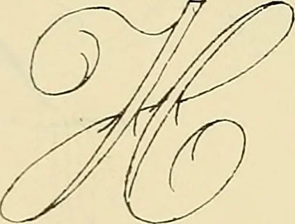 An illustration from Briggs & Co.'s patent transferring papers : patented for the United States of America, 1880, leaf 208