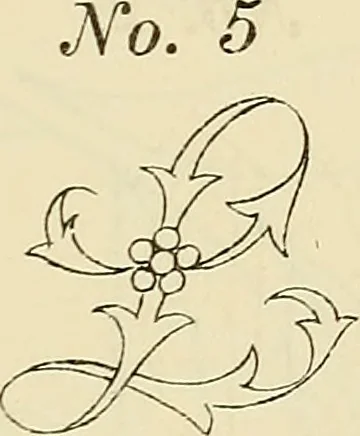 An illustration from Briggs & Co.'s patent transferring papers : patented for the United States of America, 1880, leaf 208