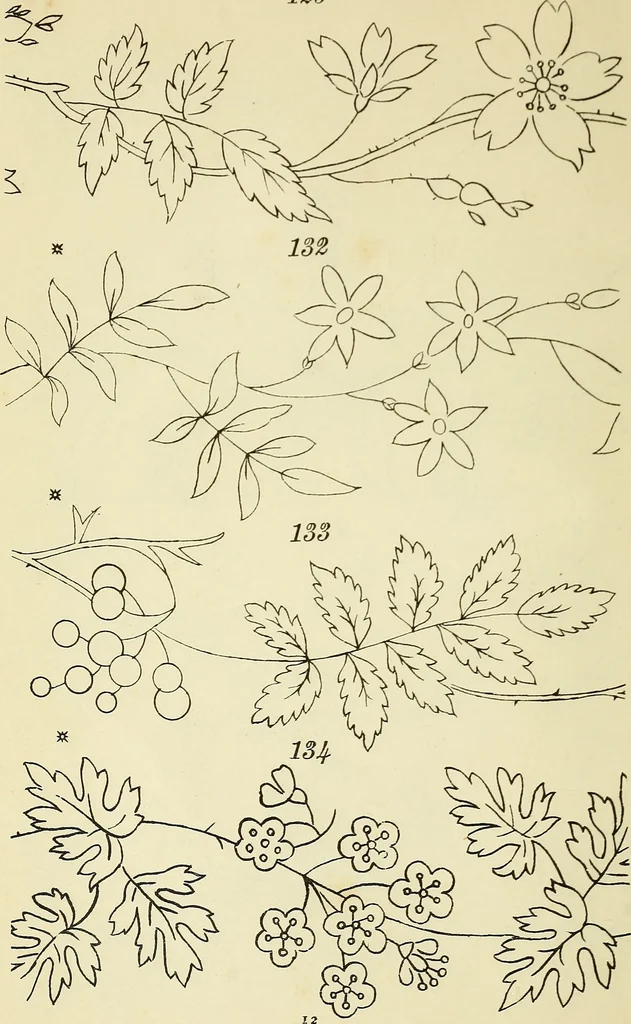 An illustration from Briggs & Co.'s patent transferring papers : patented for the United States of America, 1880, leaf 21
