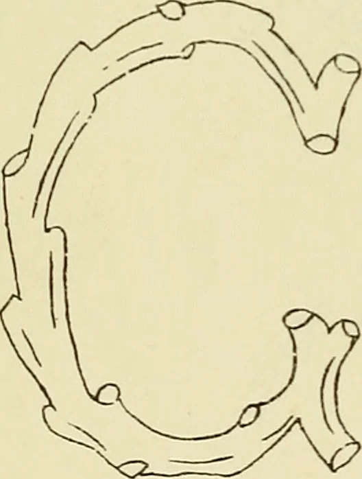 An illustration from Briggs & Co.'s patent transferring papers : patented for the United States of America, 1880, leaf 211
