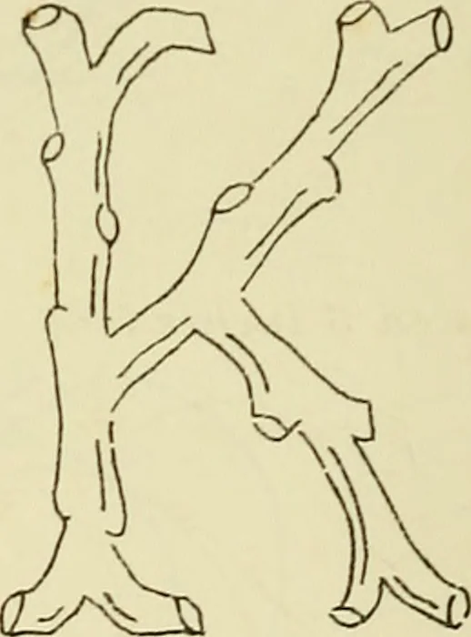 An illustration from Briggs & Co.'s patent transferring papers : patented for the United States of America, 1880, leaf 211