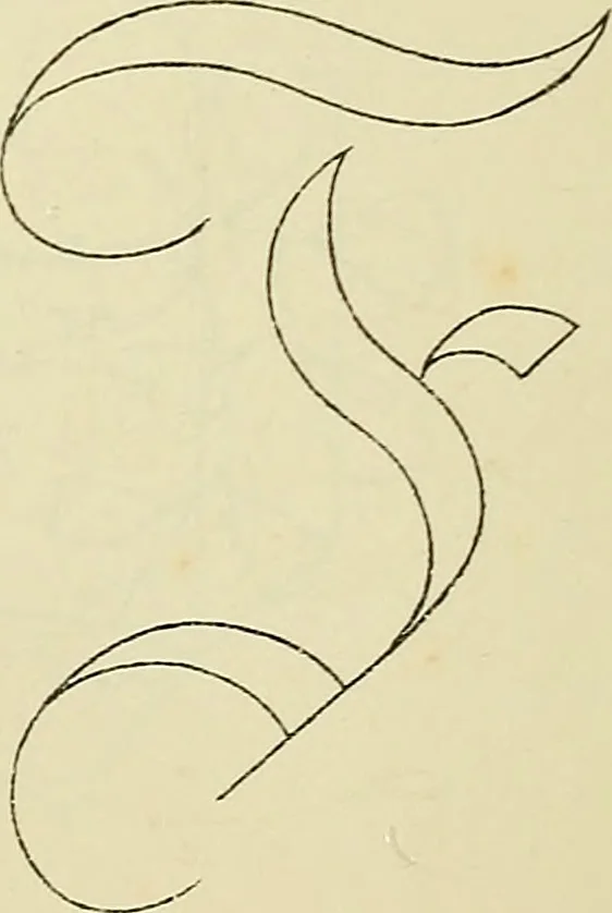 An illustration from Briggs & Co.'s patent transferring papers : patented for the United States of America, 1880, leaf 211