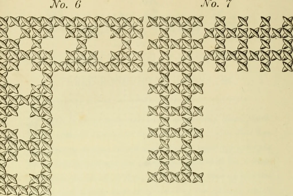 An illustration from Briggs & Co.'s patent transferring papers : patented for the United States of America, 1880, leaf 217
