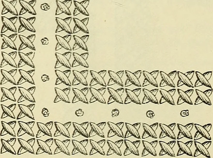 An illustration from Briggs & Co.'s patent transferring papers : patented for the United States of America, 1880, leaf 217