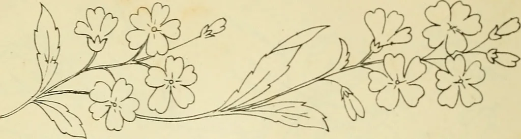 An illustration from Briggs & Co.'s patent transferring papers : patented for the United States of America, 1880, leaf 23