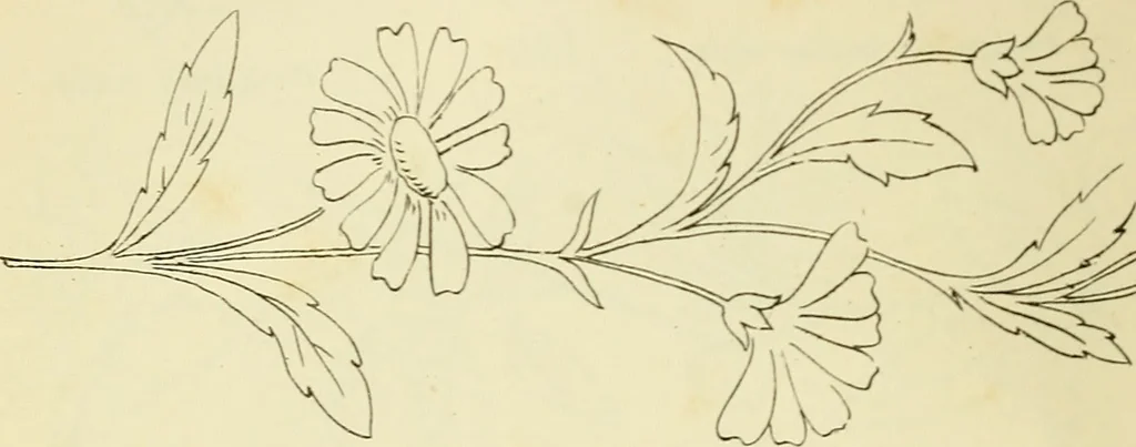 An illustration from Briggs & Co.'s patent transferring papers : patented for the United States of America, 1880, leaf 23