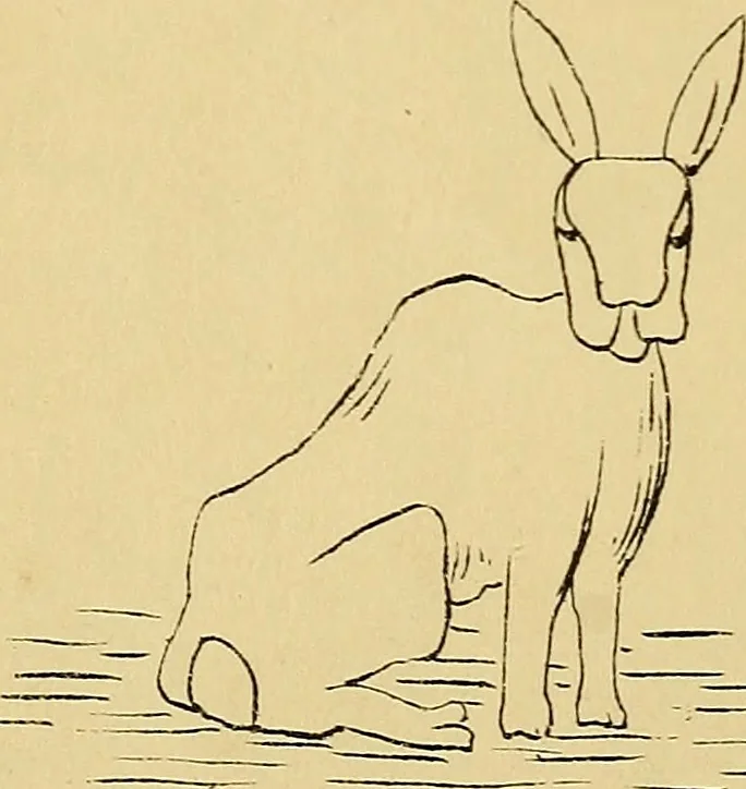 An illustration from Briggs & Co.'s patent transferring papers : patented for the United States of America, 1880, leaf 231