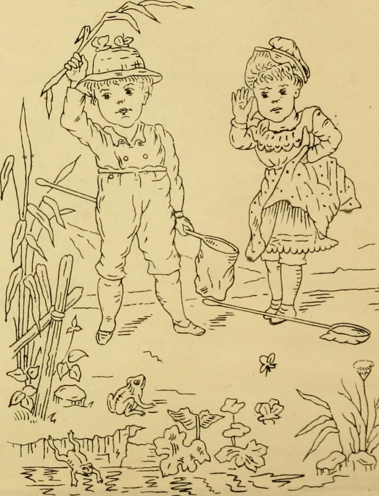 An illustration from Briggs & Co.'s patent transferring papers : patented for the United States of America, 1880, leaf 237