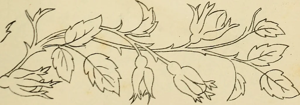 An illustration from Briggs & Co.'s patent transferring papers : patented for the United States of America, 1880, leaf 24