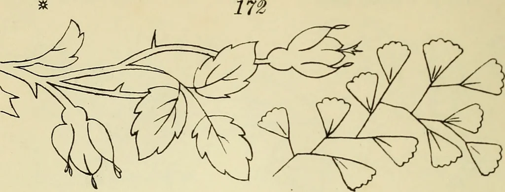 An illustration from Briggs & Co.'s patent transferring papers : patented for the United States of America, 1880, leaf 25