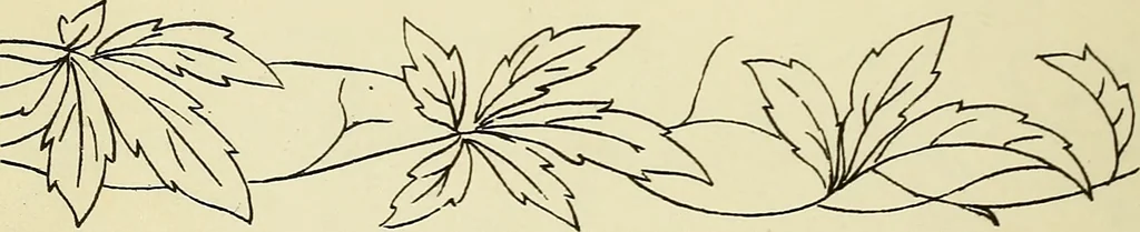 An illustration from Briggs & Co.'s patent transferring papers : patented for the United States of America, 1880, leaf 25