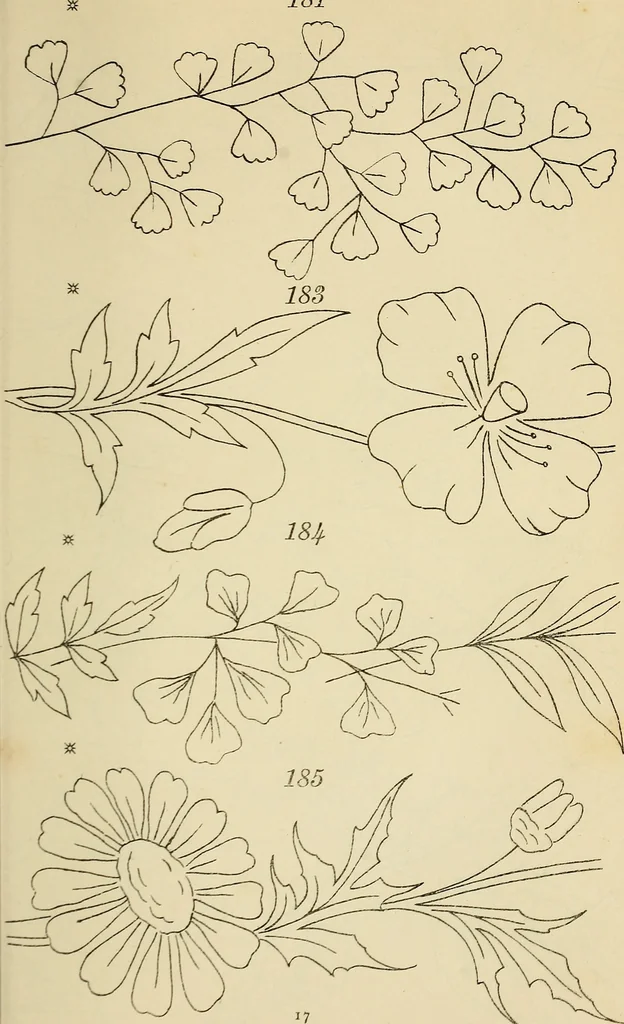 An illustration from Briggs & Co.'s patent transferring papers : patented for the United States of America, 1880, leaf 26