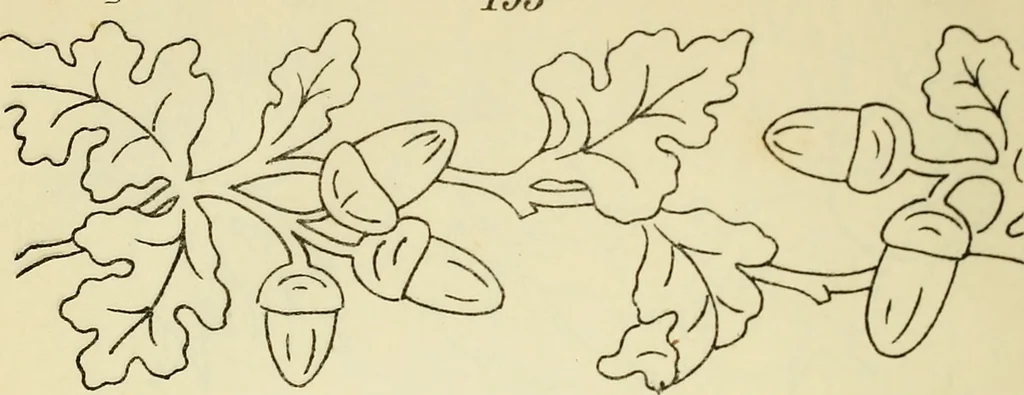 An illustration from Briggs & Co.'s patent transferring papers : patented for the United States of America, 1880, leaf 29