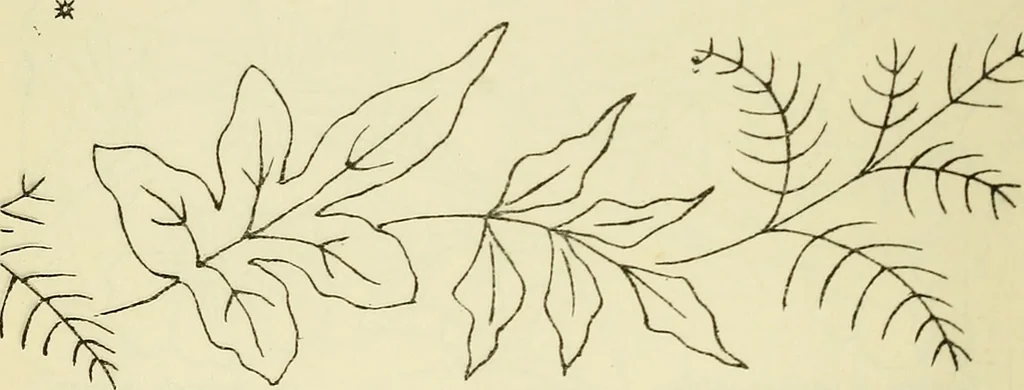 An illustration from Briggs & Co.'s patent transferring papers : patented for the United States of America, 1880, leaf 29
