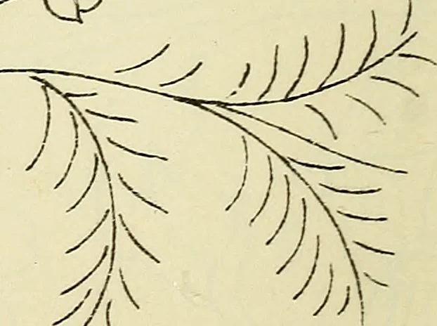 An illustration from Briggs & Co.'s patent transferring papers : patented for the United States of America, 1880, leaf 29