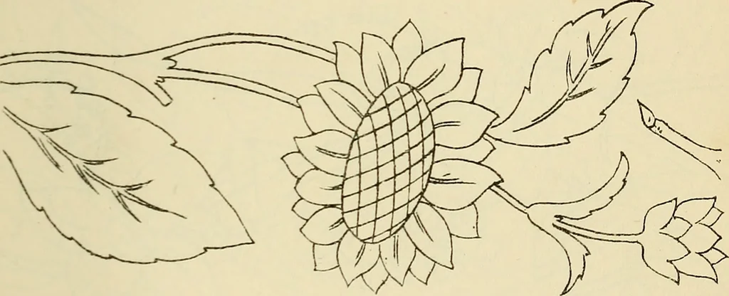 An illustration from Briggs & Co.'s patent transferring papers : patented for the United States of America, 1880, leaf 38