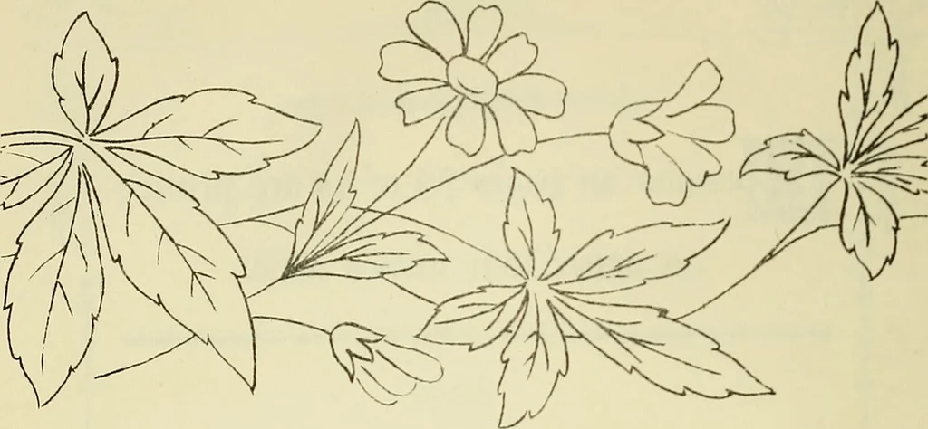 An illustration from Briggs & Co.'s patent transferring papers : patented for the United States of America, 1880, leaf 39