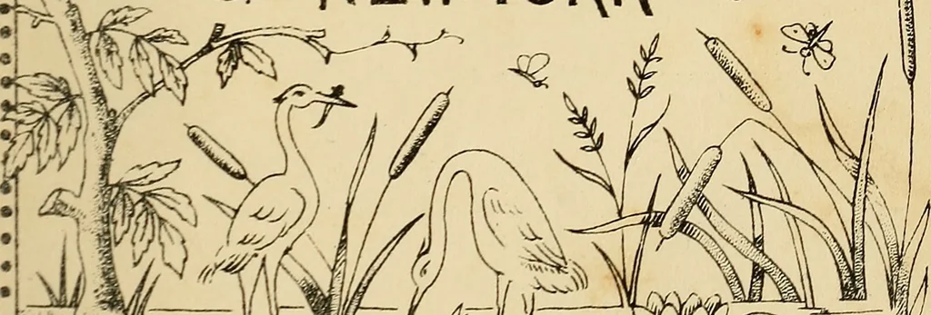 An illustration from Briggs & Co.'s patent transferring papers : patented for the United States of America, 1880, leaf 4