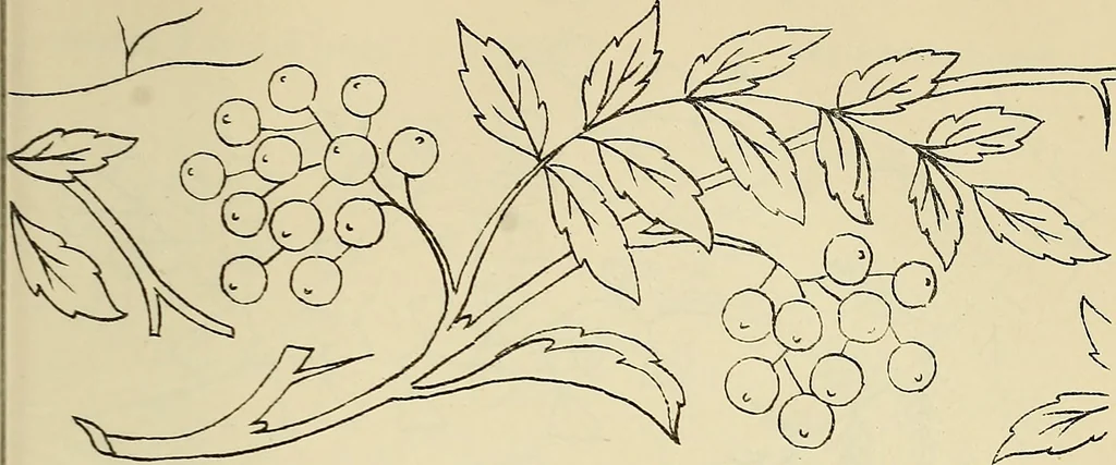 An illustration from Briggs & Co.'s patent transferring papers : patented for the United States of America, 1880, leaf 40