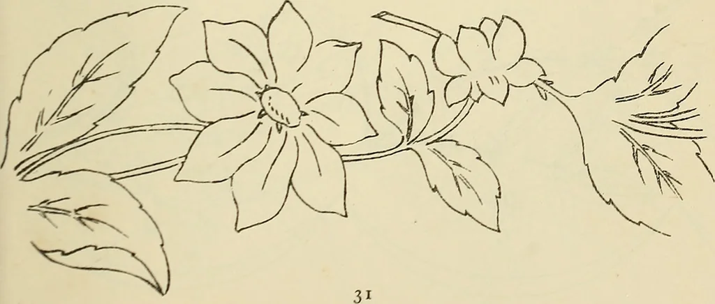 An illustration from Briggs & Co.'s patent transferring papers : patented for the United States of America, 1880, leaf 40