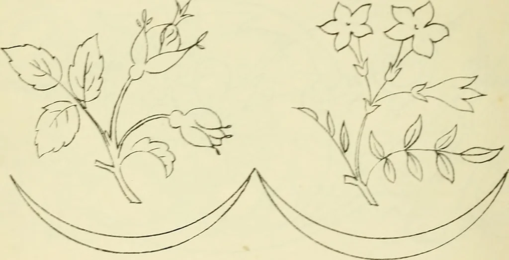 An illustration from Briggs & Co.'s patent transferring papers : patented for the United States of America, 1880, leaf 41