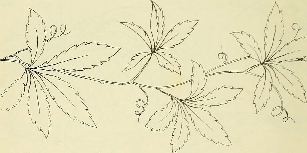 An illustration from Briggs & Co.'s patent transferring papers : patented for the United States of America, 1880, leaf 45