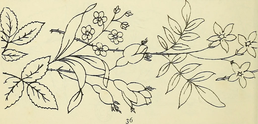 An illustration from Briggs & Co.'s patent transferring papers : patented for the United States of America, 1880, leaf 45