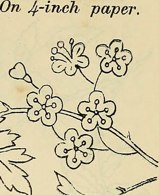 An illustration from Briggs & Co.'s patent transferring papers : patented for the United States of America, 1880, leaf 46