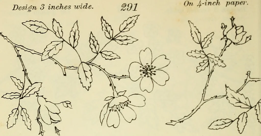 An illustration from Briggs & Co.'s patent transferring papers : patented for the United States of America, 1880, leaf 47