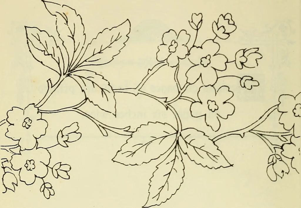 An illustration from Briggs & Co.'s patent transferring papers : patented for the United States of America, 1880, leaf 55