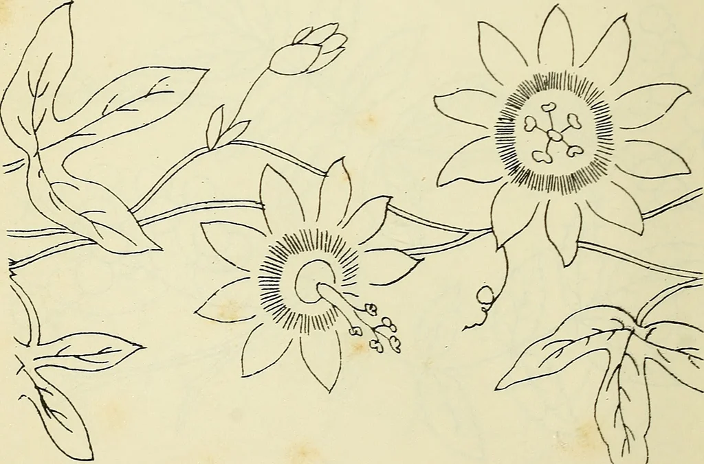 An illustration from Briggs & Co.'s patent transferring papers : patented for the United States of America, 1880, leaf 55