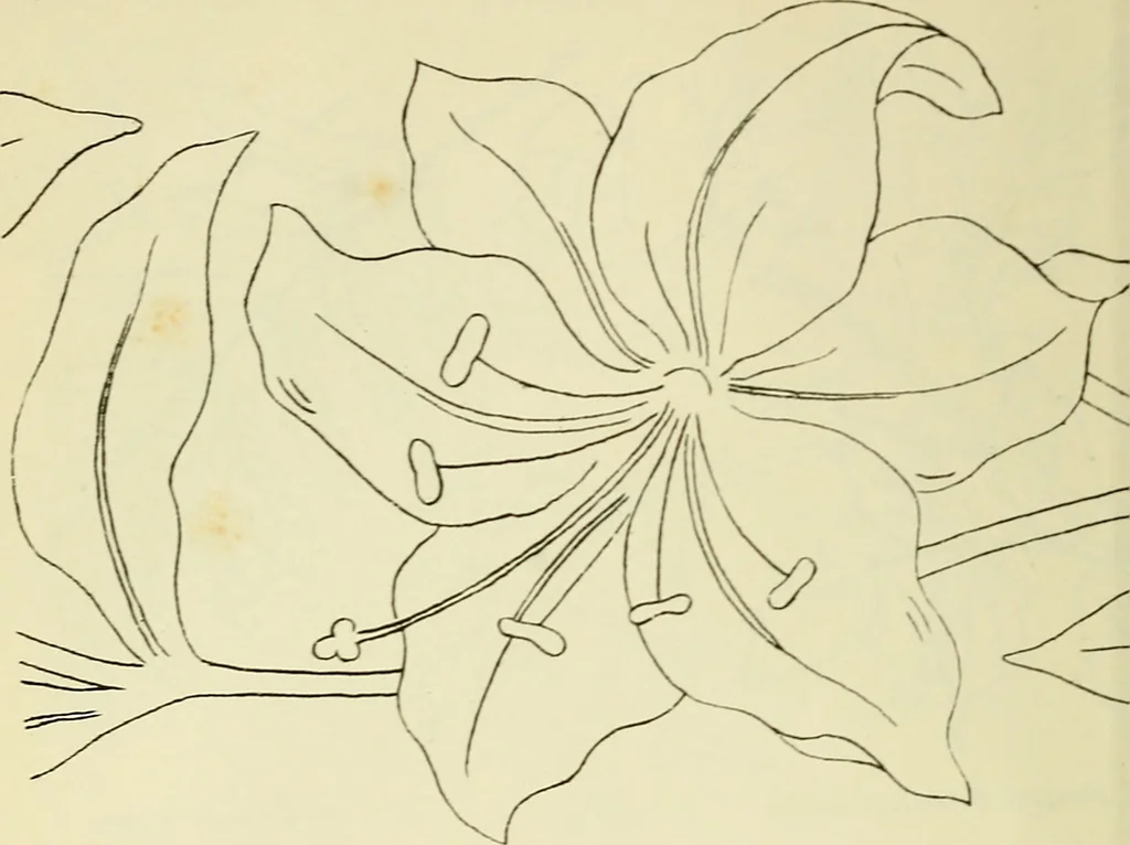 An illustration from Briggs & Co.'s patent transferring papers : patented for the United States of America, 1880, leaf 59