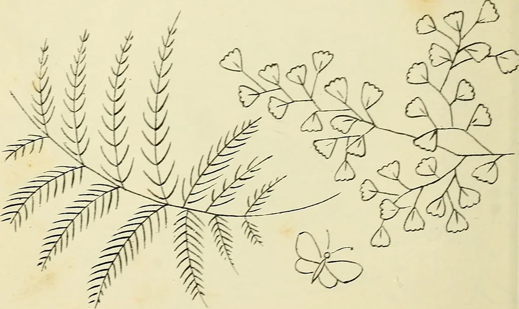An illustration from Briggs & Co.'s patent transferring papers : patented for the United States of America, 1880, leaf 59