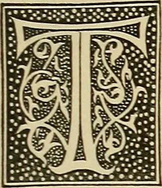 An illustration from Briggs & Co.'s patent transferring papers : patented for the United States of America, 1880, leaf 6