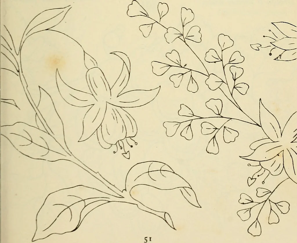 An illustration from Briggs & Co.'s patent transferring papers : patented for the United States of America, 1880, leaf 60