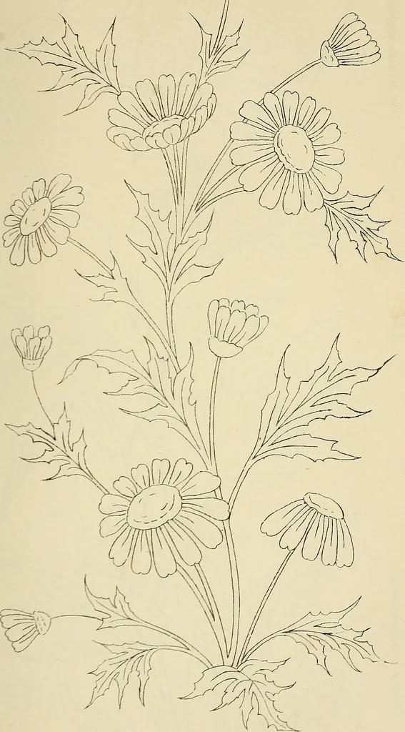 An illustration from Briggs & Co.'s patent transferring papers : patented for the United States of America, 1880, leaf 78