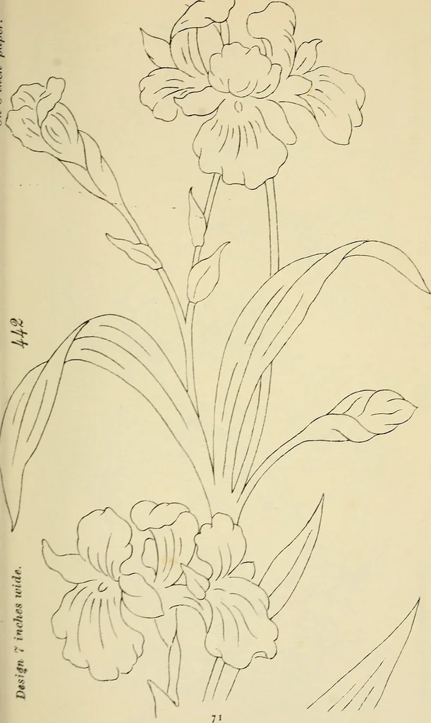 An illustration from Briggs & Co.'s patent transferring papers : patented for the United States of America, 1880, leaf 80