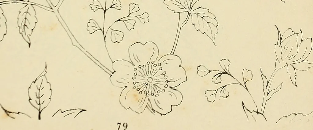 An illustration from Briggs & Co.'s patent transferring papers : patented for the United States of America, 1880, leaf 88