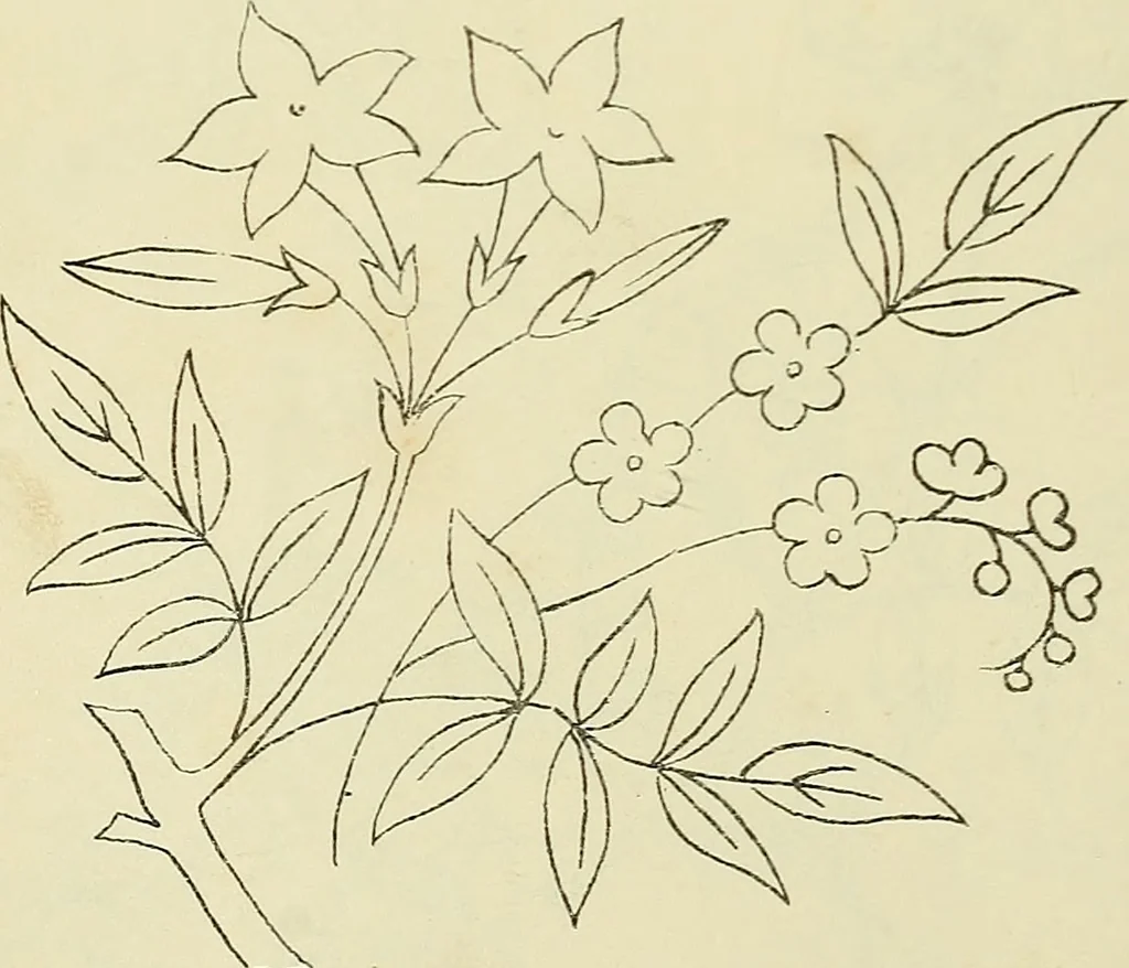 An illustration from Briggs & Co.'s patent transferring papers : patented for the United States of America, 1880, leaf 89