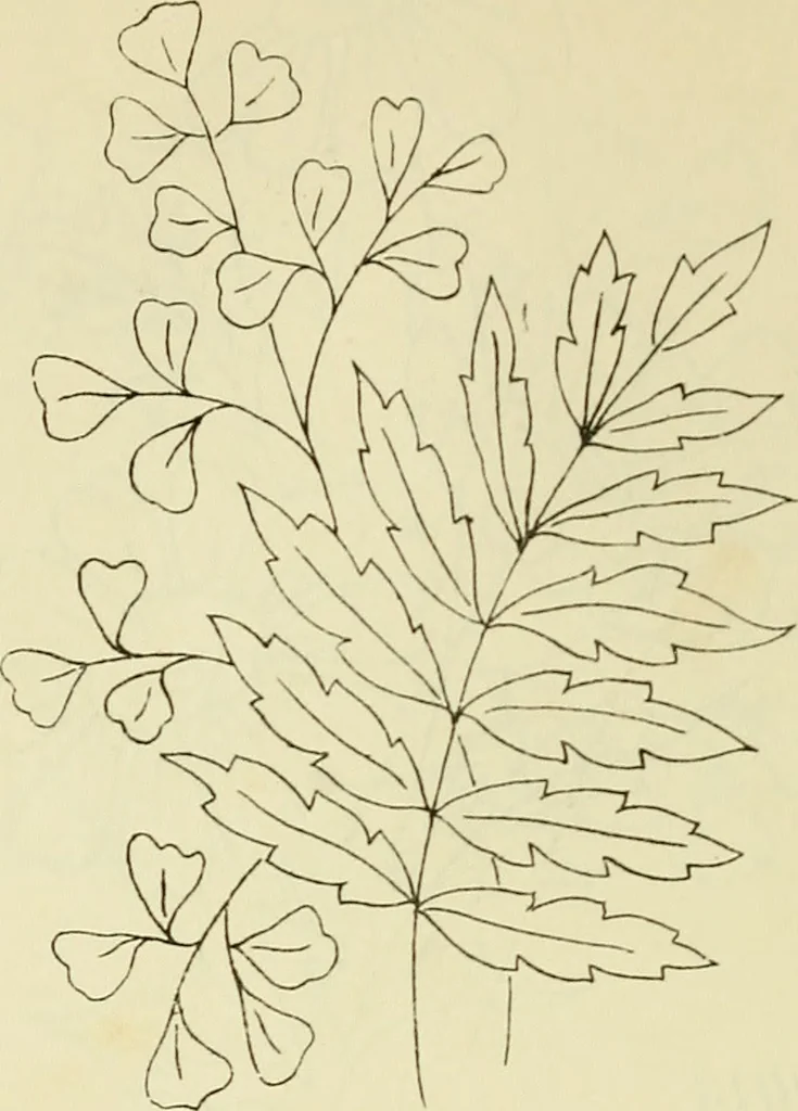 An illustration from Briggs & Co.'s patent transferring papers : patented for the United States of America, 1880, leaf 93