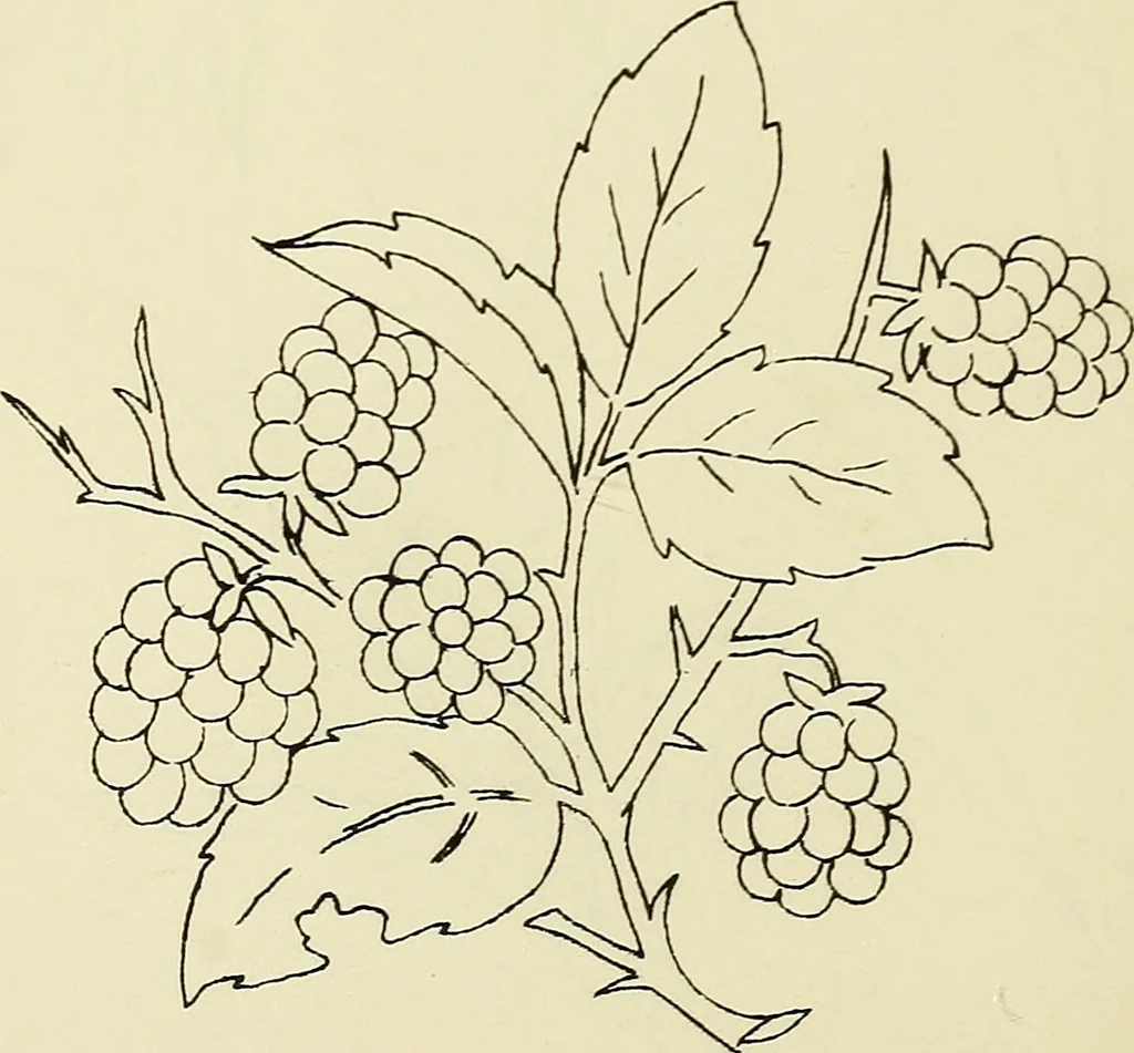 An illustration from Briggs & Co.'s patent transferring papers : patented for the United States of America, 1880, leaf 95