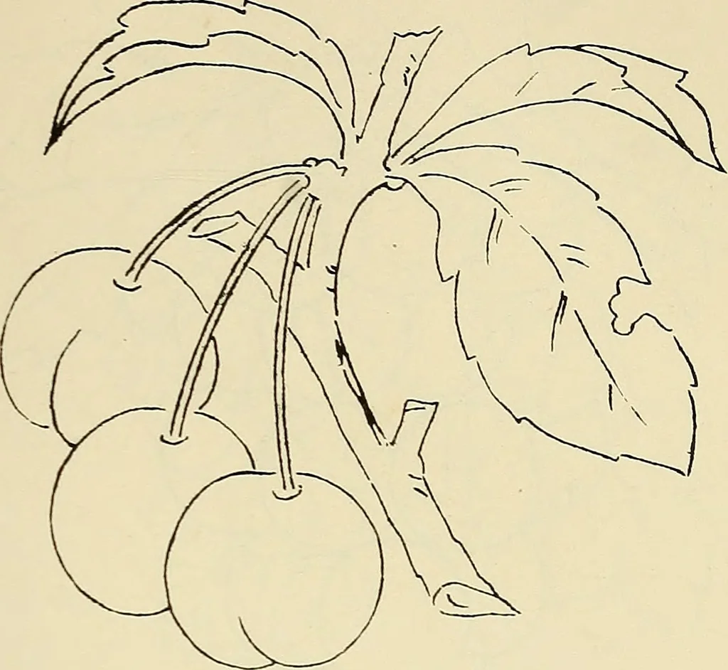 An illustration from Briggs & Co.'s patent transferring papers : patented for the United States of America, 1880, leaf 96