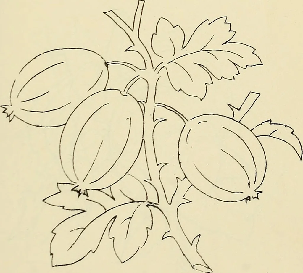 An illustration from Briggs & Co.'s patent transferring papers : patented for the United States of America, 1880, leaf 96