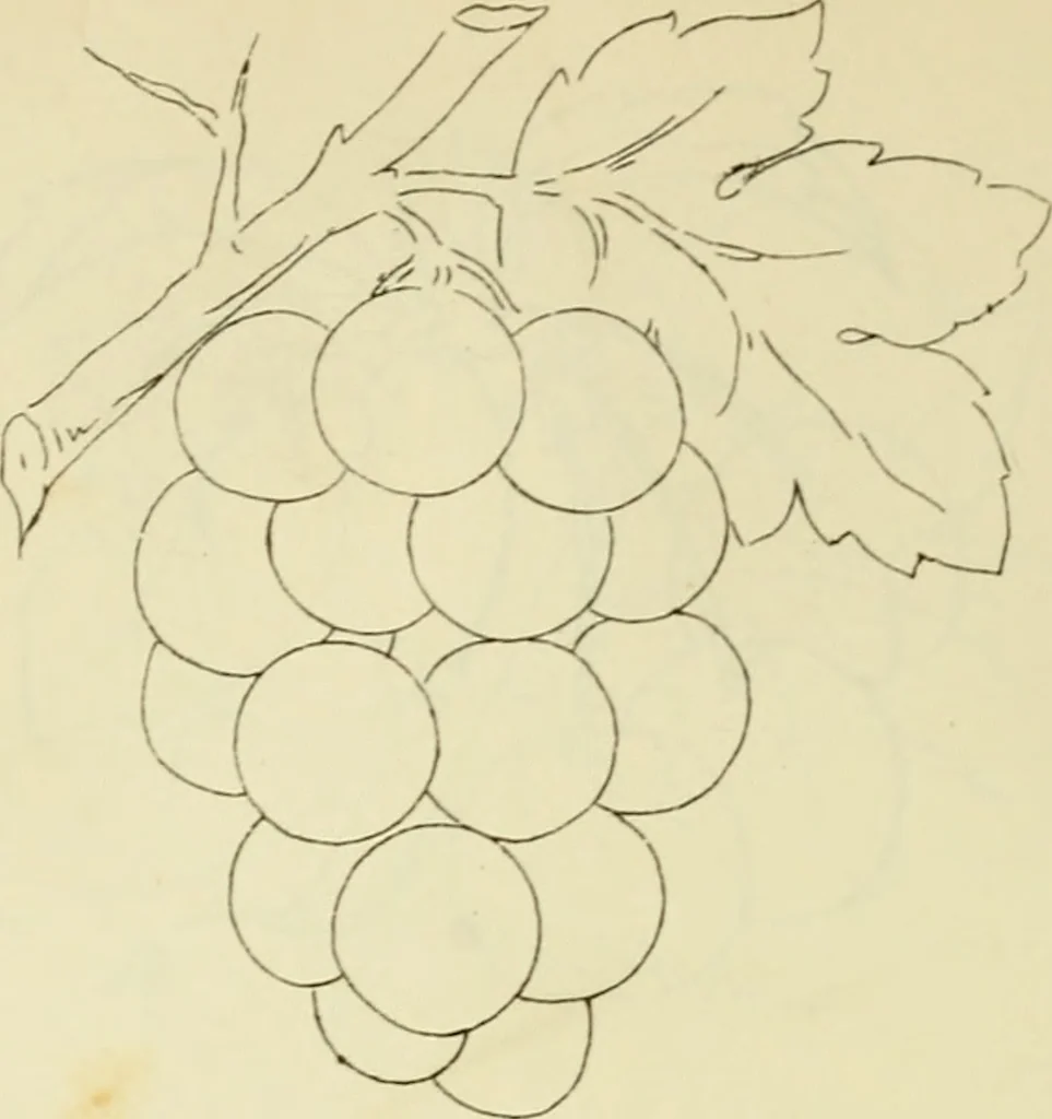 An illustration from Briggs & Co.'s patent transferring papers : patented for the United States of America, 1880, leaf 97