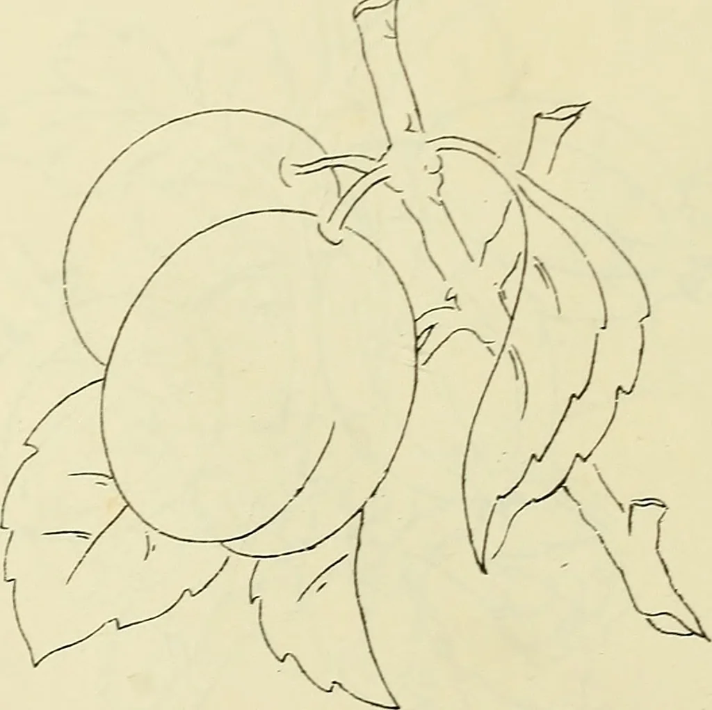 An illustration from Briggs & Co.'s patent transferring papers : patented for the United States of America, 1880, leaf 97