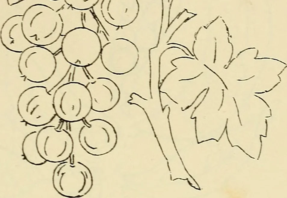 An illustration from Briggs & Co.'s patent transferring papers : patented for the United States of America, 1880, leaf 98