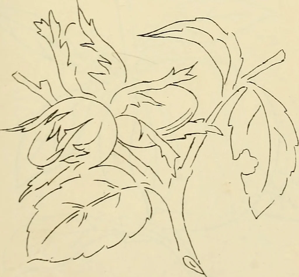 An illustration from Briggs & Co.'s patent transferring papers : patented for the United States of America, 1880, leaf 98